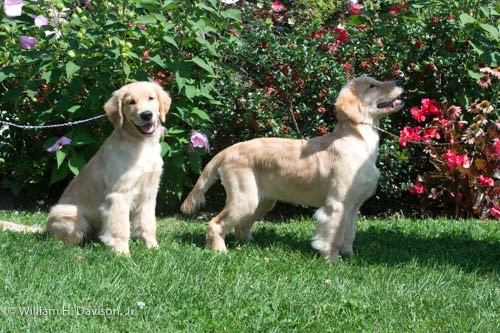 Brother & Sister.jpg